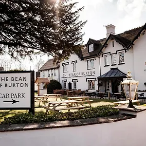 Bear Of Burton Verenigd Koninkrijk